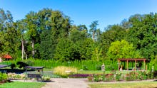 Mineral SPA Draugystė in Litauen - Park  – © fotolukosevicius gmail com