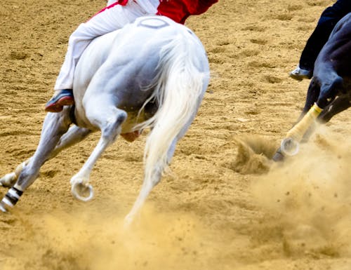 Pferderennen – © Mirko Macari - stock.adobe.com