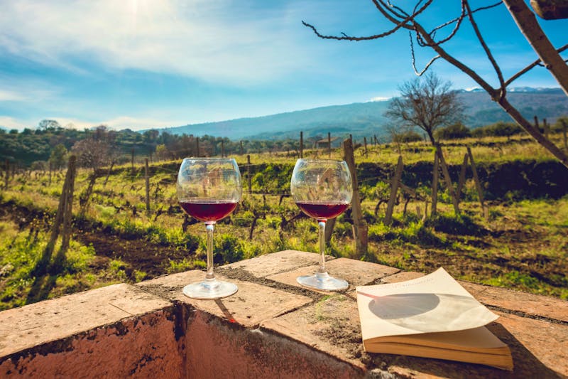 Zwei Gläser Wein in den Weinbergen am Fuße des Vulkans Ätna - ©rosario scalia - stock.adobe.com