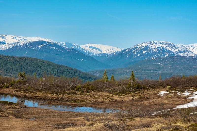Landschaft Risfjellet bei Mo i Rana - ©Pavel - stock.adobe.com