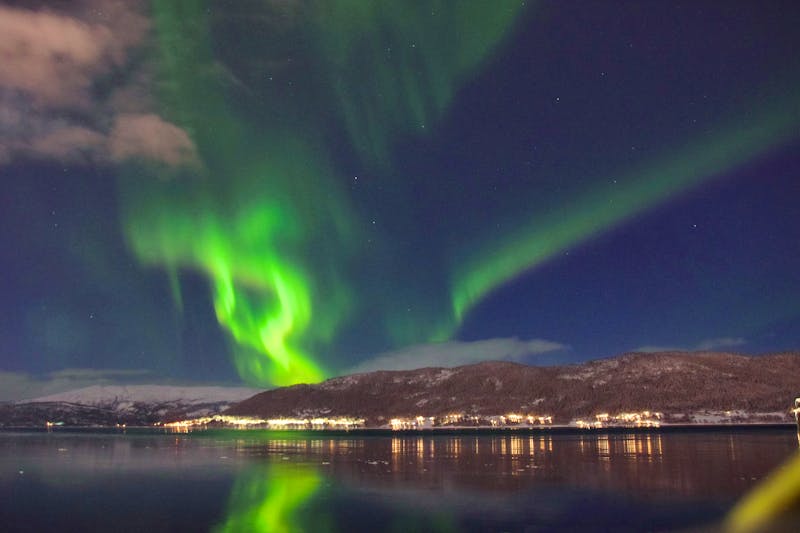 Nordlicht in Norwegen - Mo i Rana - ©Anton - stock.adobe.com