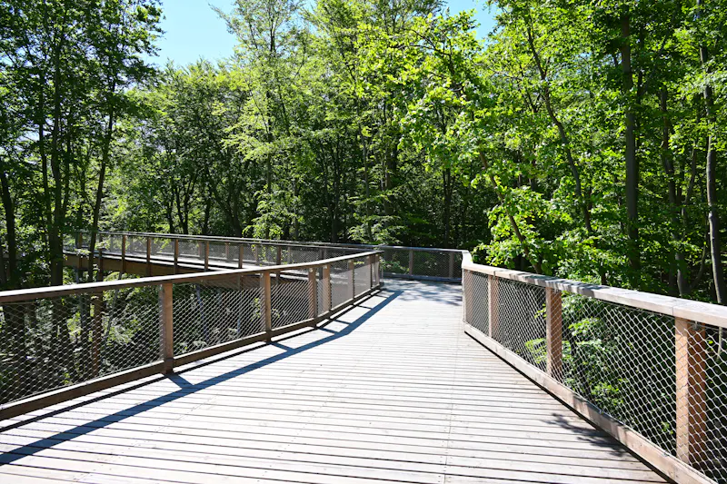 Baumwipfelpfad in Heringsdorf - &copy;fotograupner - stock.adobe.com