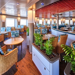 MS Hamburg - Der Palmgarten (Buffet) – © PLANTOURS Kreuzfahrten