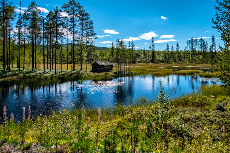 schwedische Landschaft in der Nähe von Umea - ©Alexander - stock.adobe.com