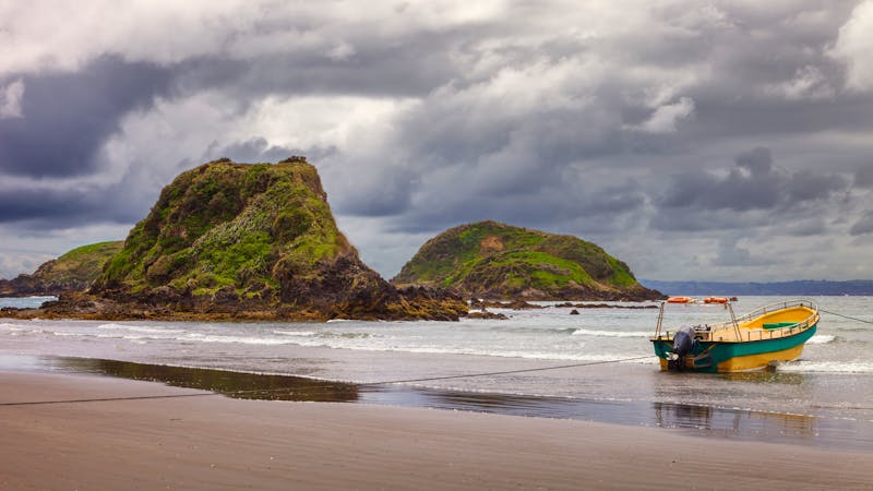 Strand in Puñihuil - Chile  - ©jarcosa - stock.adobe.com