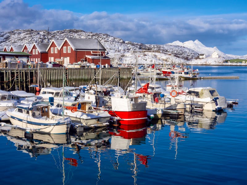 Fischerhafen in Bodö - ©salparadis - stock.adobe.com