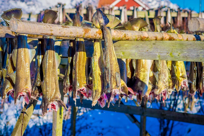 Stockfisch auf den Lofoten - ©Fotos 593 - stock.adobe.com