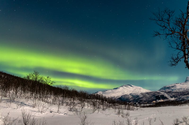 Nordlichter bei Narvik - ©Kleger photography - stock.adobe.com