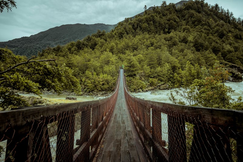 Queulat-Nationalpark in Chile - ©Diego - stock.adobe.com