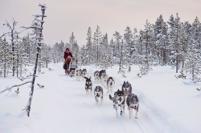 Hundeschlitten-Tour in Schwedisch Lappland - ©Anna Öhlund - imagebank.sweden.se