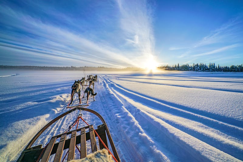 Hundeschlitten-Tour bei Kiruna in Schwedisch Lappland - ©TK iStock - stock.adobe.com