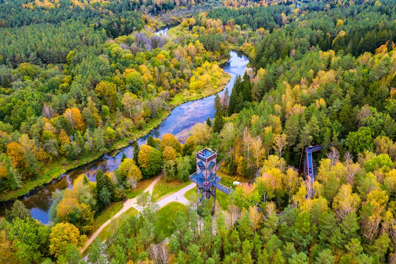 Baumkronenpfad bei Anykščiai in Litauen - ©Laimonas Ciunys - Lithuania Travel