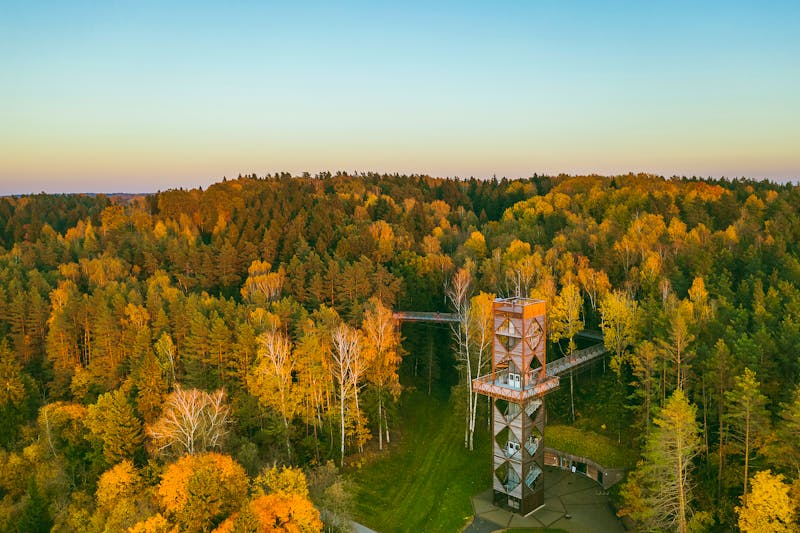 Baumkronenpfad bei Anykščiai in Litauen - ©Andrius Aleksandravičius - Lithuania Travel