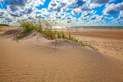 Ostseestrand bei Palanga  &ndash; &copy; Laimonas Ciunys - Lithuania Travel