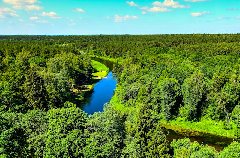 Sventoji Fluss in Litauen - ©ako-photography - stock.adobe.com