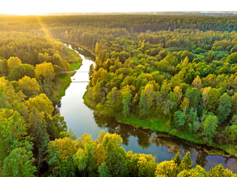 Sventoji Fluss in Litauen - ©MNStudio - stock.adobe.com