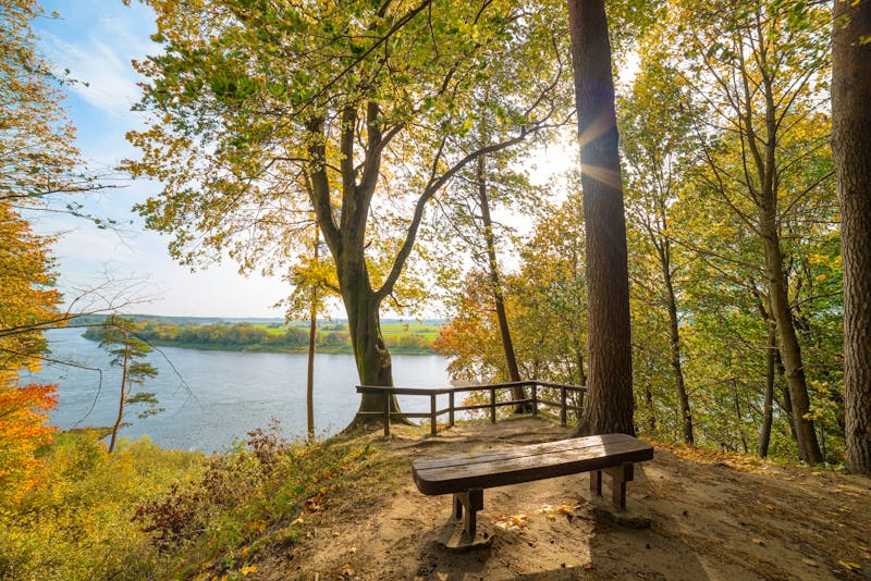 Rambynas Regionalpark und die Memel in Litauen - ©Renatas - stock.adobe.com