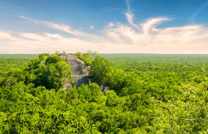Maya-Ruinen im Dschungel von Calakmul in Mexiko - ©Tommaso Lizzul - stock.adobe.com