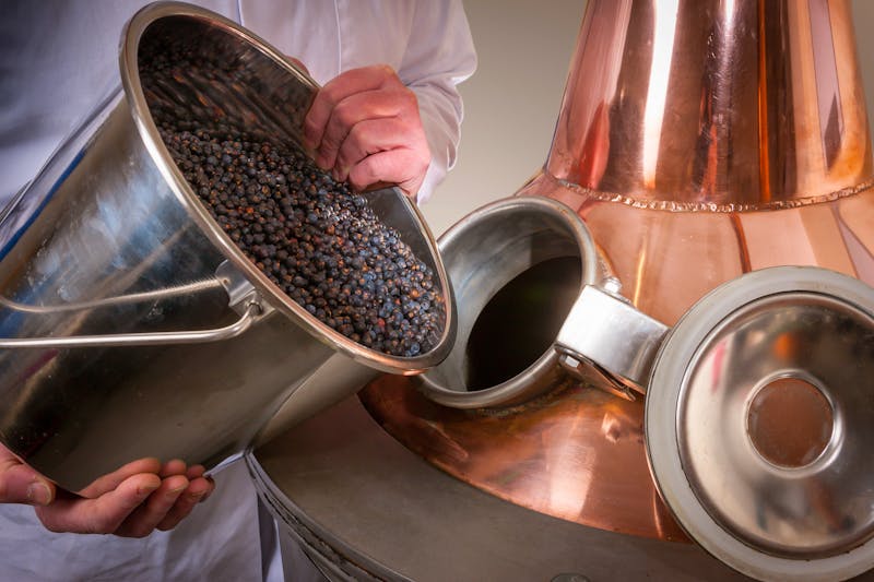 Hesrtellung von Wacholderbeeren-Schnaps - ©Gordon - stock.adobe.com