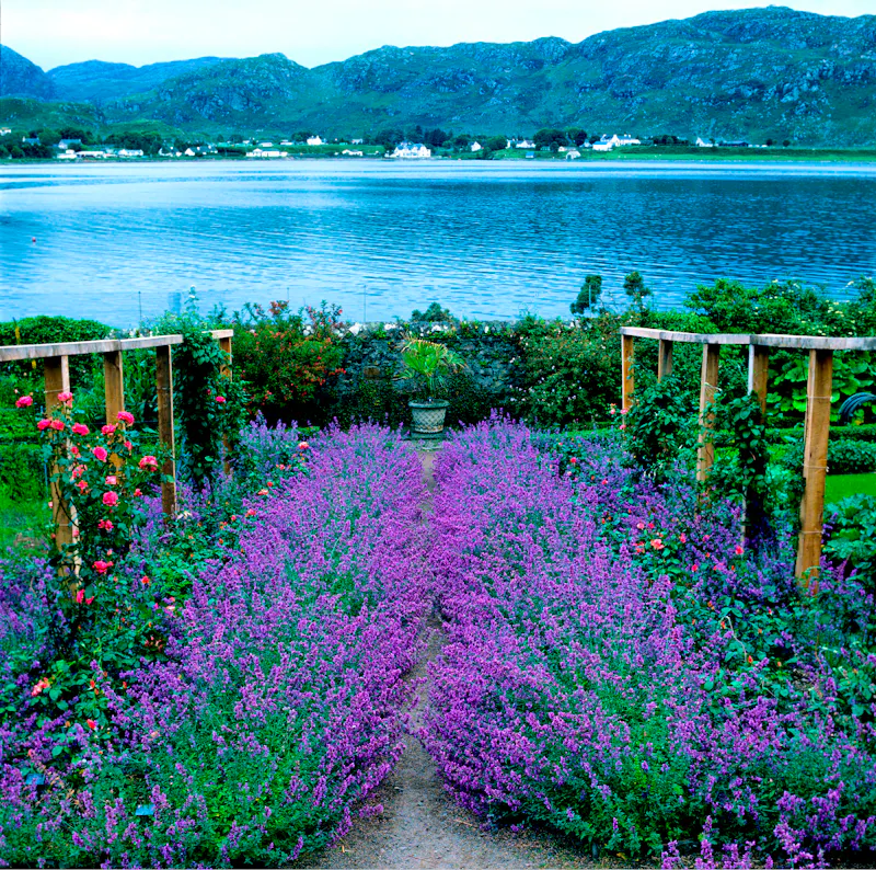 Inverewe Gardens in Schottland  - &copy;Garden Guru - stock.adobe.com
