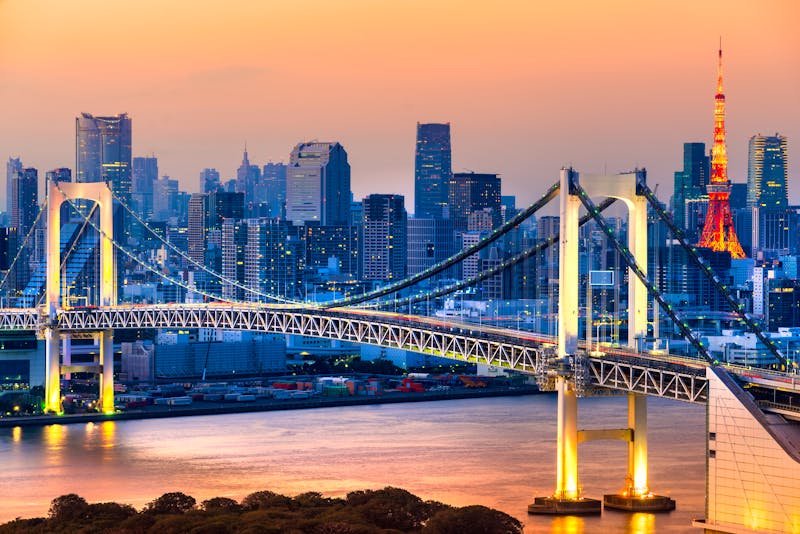 Tokio skyline - ©Luciano Mortula-LGM - stock.adobe.com