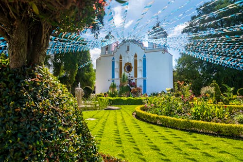 Kirche in Santa Maria del Tule in Mexiko &ndash; &copy; kmiragaya - stock.adobe.com