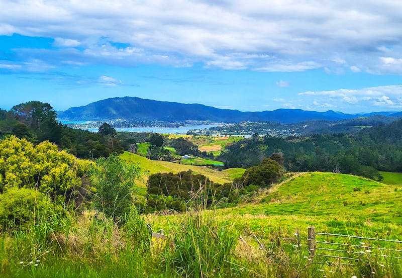 Auf dem Weg nach Tairua - ©Susanne Schirmann - Eberhardt TRAVEL