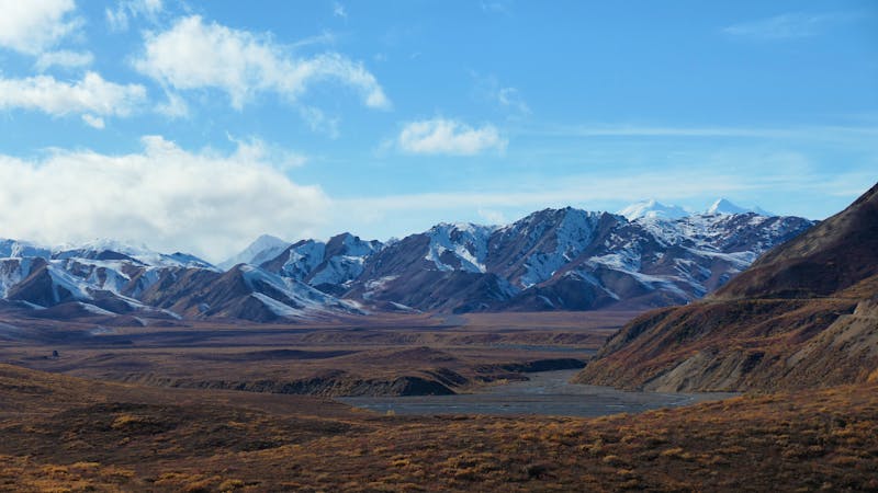 Denali Nationalpark - ©Leon Prinz - Eberhardt TRAVEL