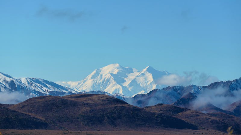 Denali Nationalpark - ©Leon Prinz - Eberhardt TRAVEL