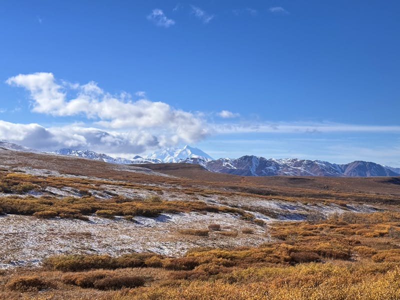 Denali Nationalpark - ©Leon Prinz - Eberhardt TRAVEL