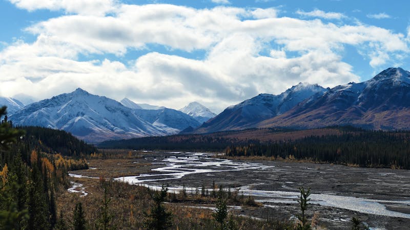Denali Nationalpark - ©Leon Prinz - Eberhardt TRAVEL