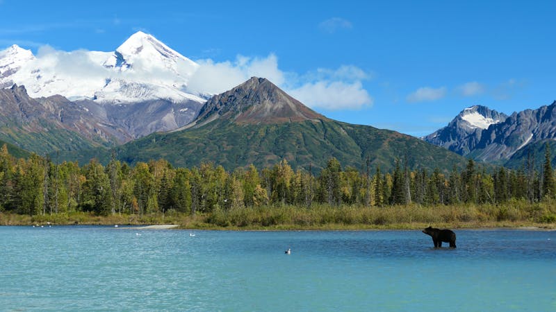 Bärenbeobachtung im Lake Clarke Nationalpark - ©Leon Prinz - Eberhardt TRAVEL