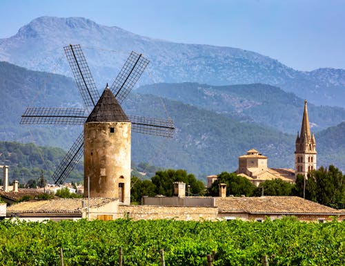 Windmühlen und Weinstöcke bei Binissalem auf Mallorca – © Fulcanelli - stock.adobe.com