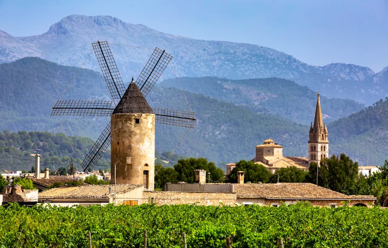 Windmühlen und Weinstöcke bei Binissalem auf Mallorca - ©Fulcanelli - stock.adobe.com
