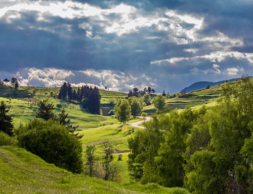 Rhodopengebirge – © Adriana Nikolova - stock.adobe.com