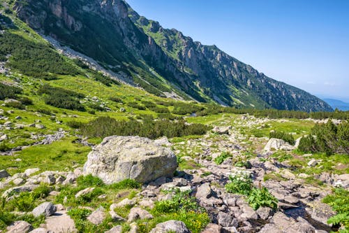 Sommerlandschaft des Rila-Gebirges in der Nähe des Malyovitsa-Gipfels Bulgarien &ndash; &copy; Stoyan Haytov - stock.adobe.com