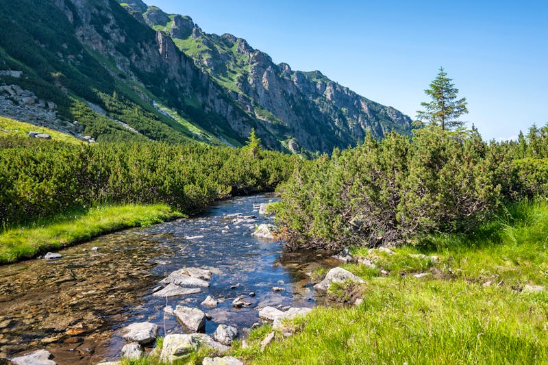 Sommerlandschaft des Rila-Gebirges in der Nähe des Malyovitsa-Gipfels Bulgarien - ©Stoyan Haytov - stock.adobe.com