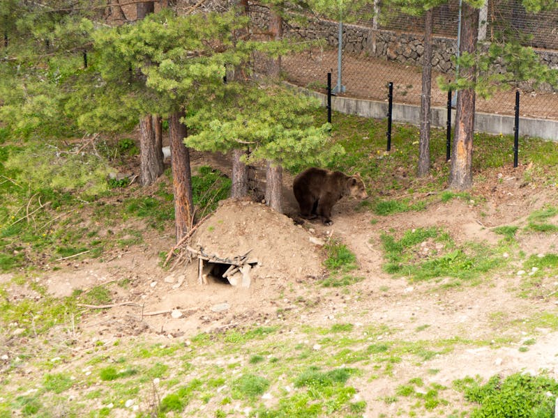 Dorf Belitsa, Bulgarien - ©DHstudio - stock.adobe.com