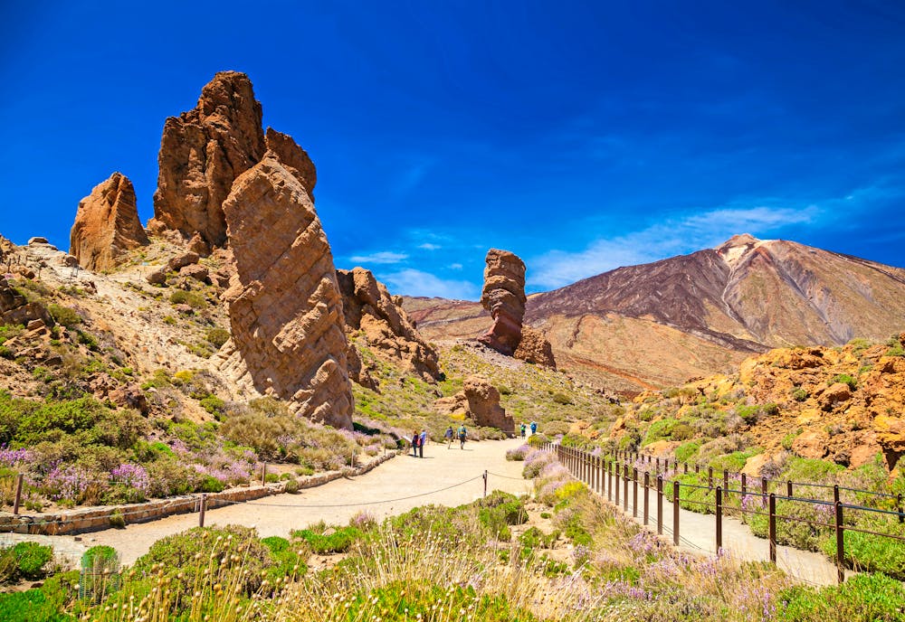 Teide Nationalpark  &ndash; &copy; Anna Lurye - stock.adobe.com