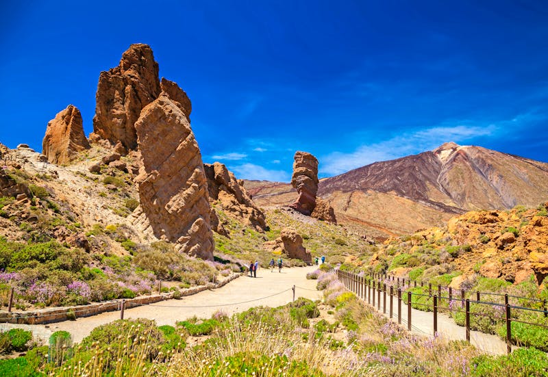 Teide Nationalpark  - ©Anna Lurye - stock.adobe.com