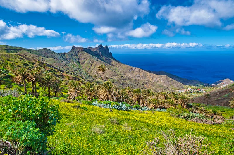 Insel La Gomera  - ©pkazmierczak - stock.adobe.com