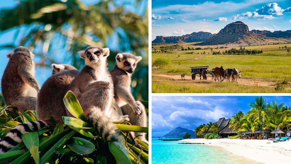 Madagaskar & Mauritius - Natur & Kultur &ndash; &copy; Adobe Stock