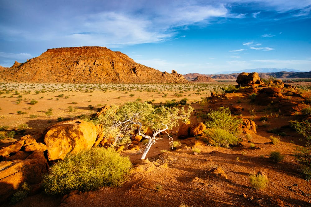 Ausblick in die Ebene, Damaraland, Namibia &ndash; &copy; Michael - stock.adobe.com