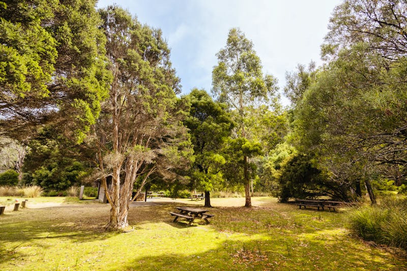 Mount Field Nationalpark Picknicks Areal - ©FiledIMAGE - stock.adobe.com