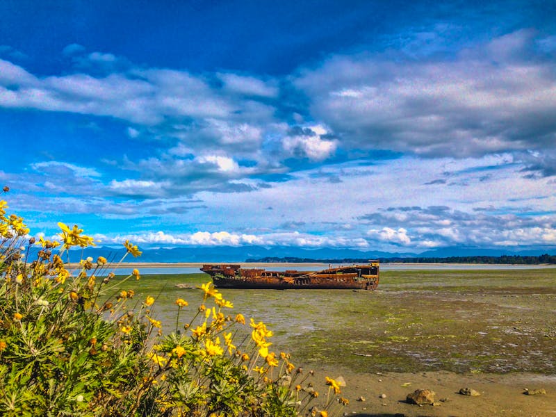 Janie Seddon Schiffswrack in Motueka  - ©Joppi - stock.adobe.com