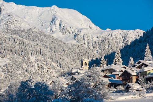 Winterlandschaft bei Pejo im Val di Sole &ndash; &copy; franzdell - stock.adobe.com