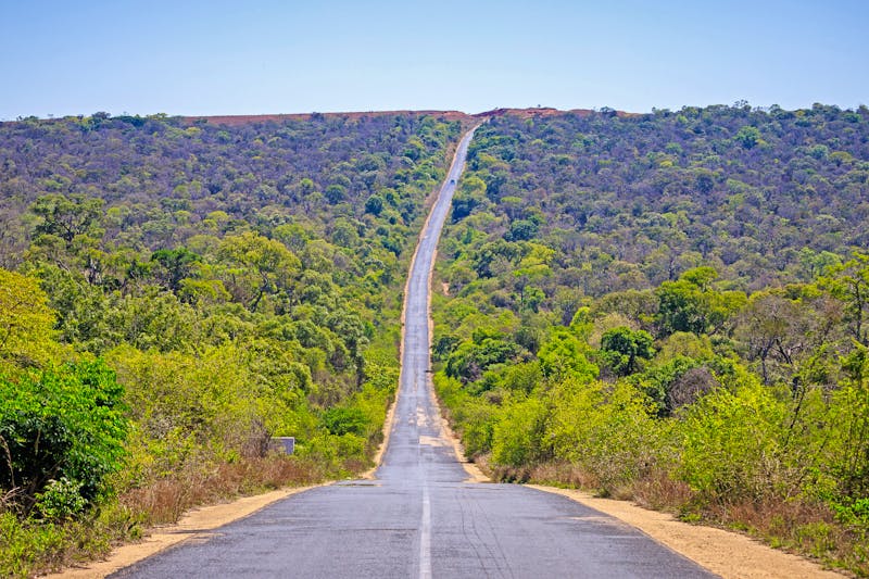 RN7 Straße beim Zombitse-Vohibasia Nationalpark - ©Erika - stock.adobe.com