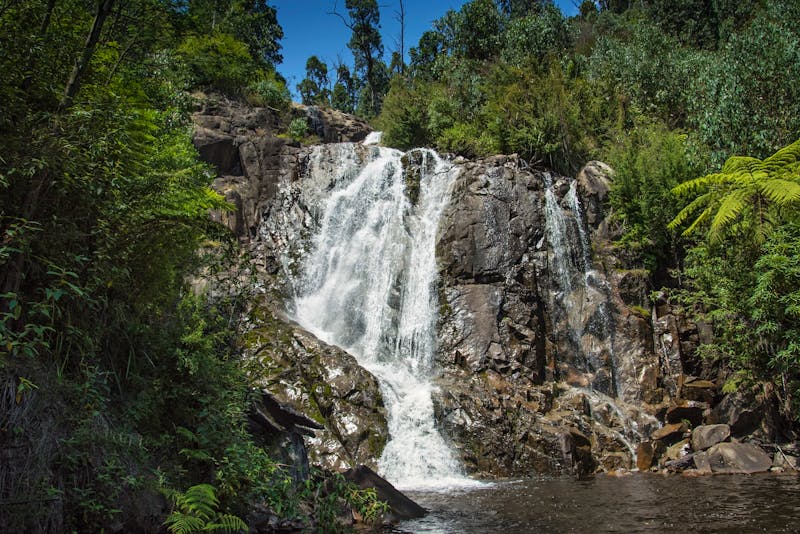 Steavensons Falls nahe Melbourne  Australia - ©Emma Murphy  (EVM Photography)