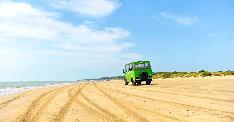 Jeeptour im Doñana Nationalpark - Andalusien - ©joserpizarro - stock.adobe.com