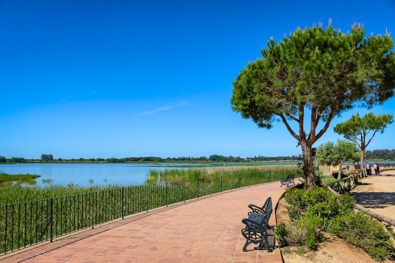 Doñana Nationalpark in Andalusien - ©Thierry Lubar - stock.adobe.com